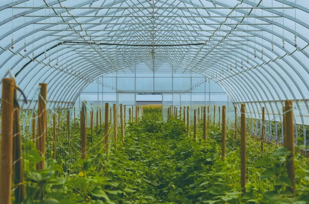 上海拖后腿如何企业管理有限公司薪酬体系设计方法论解析